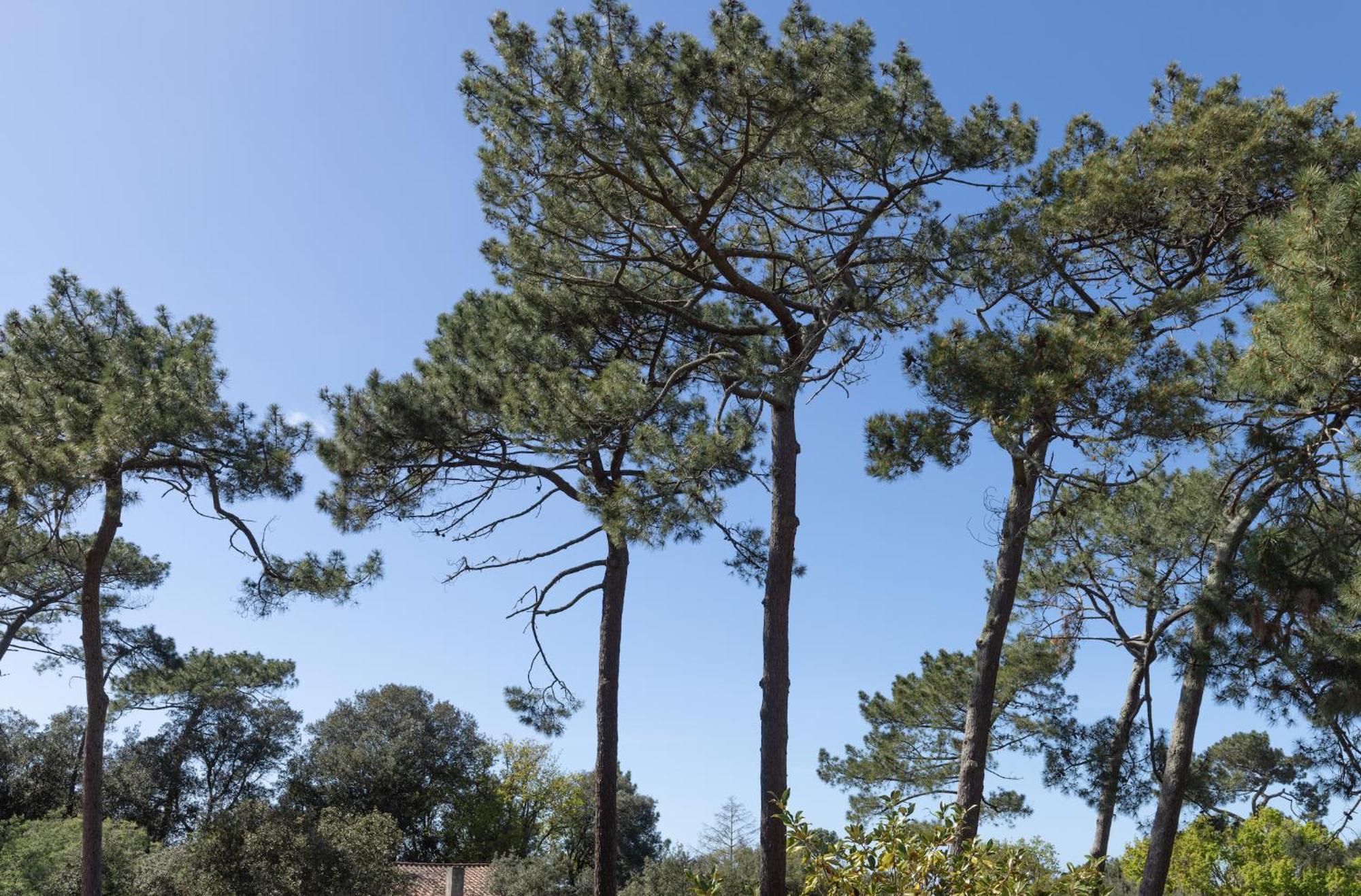 Residence Maminotte La Teste-de-Buch Εξωτερικό φωτογραφία